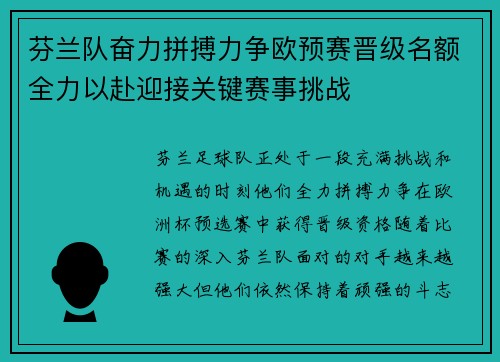 芬兰队奋力拼搏力争欧预赛晋级名额全力以赴迎接关键赛事挑战
