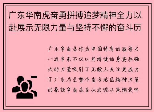 广东华南虎奋勇拼搏追梦精神全力以赴展示无限力量与坚持不懈的奋斗历程