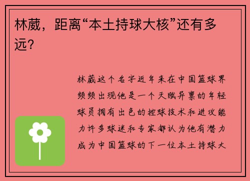 林葳，距离“本土持球大核”还有多远？