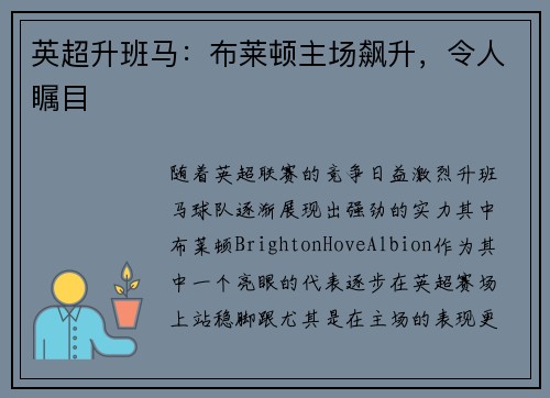 英超升班马：布莱顿主场飙升，令人瞩目