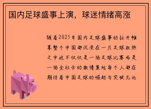 国内足球盛事上演，球迷情绪高涨