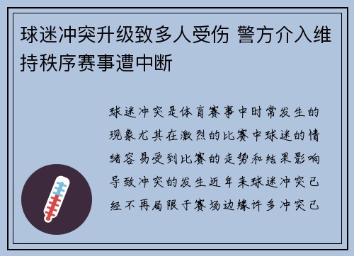 球迷冲突升级致多人受伤 警方介入维持秩序赛事遭中断